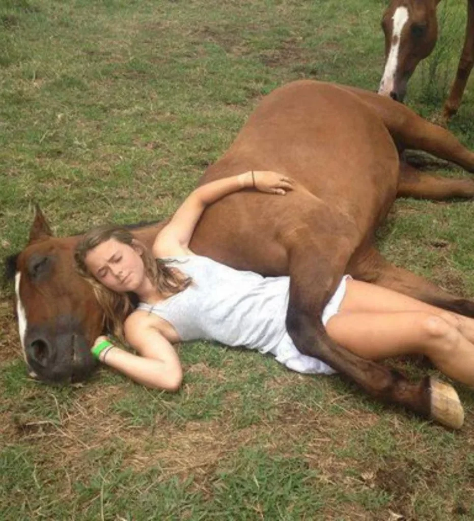 10 Hilarious Funny Picture for horse lovers-The Unconventional Sleeping Positions