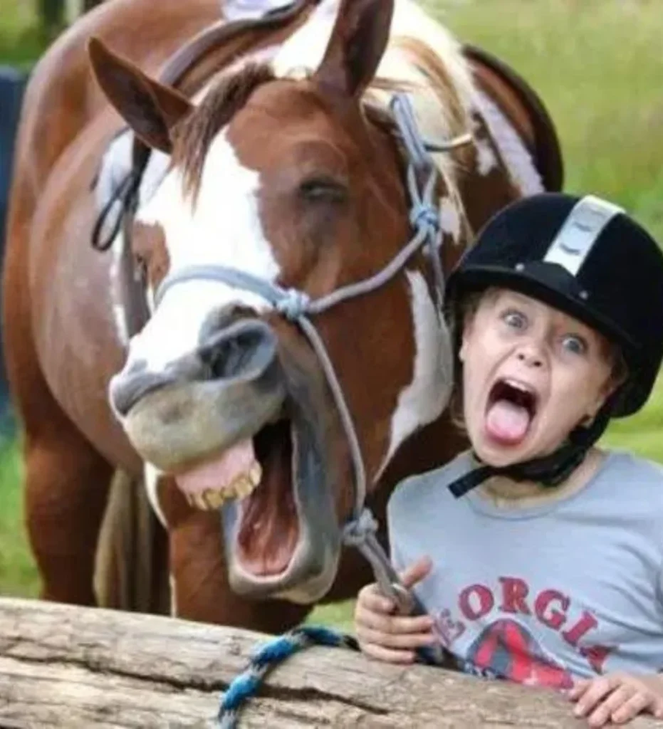 10 Hilarious Funny Picture for horse lovers-The Photobombing Prodigy