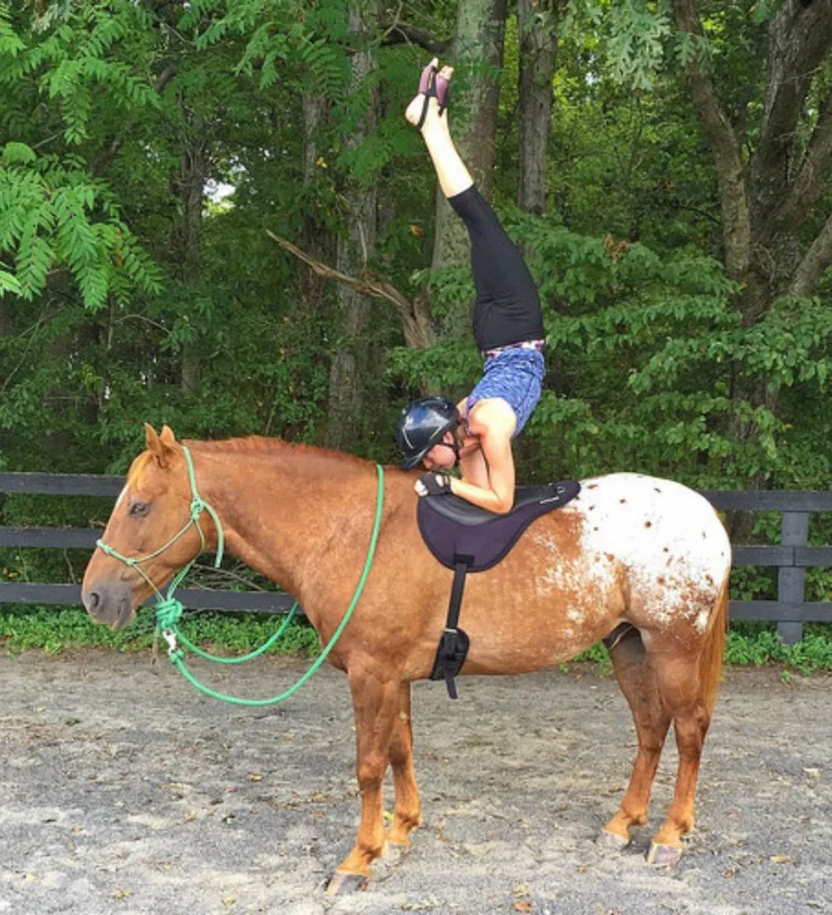10 Hilarious Funny Picture for horse lovers-The Yoga-Enthusiast Horse