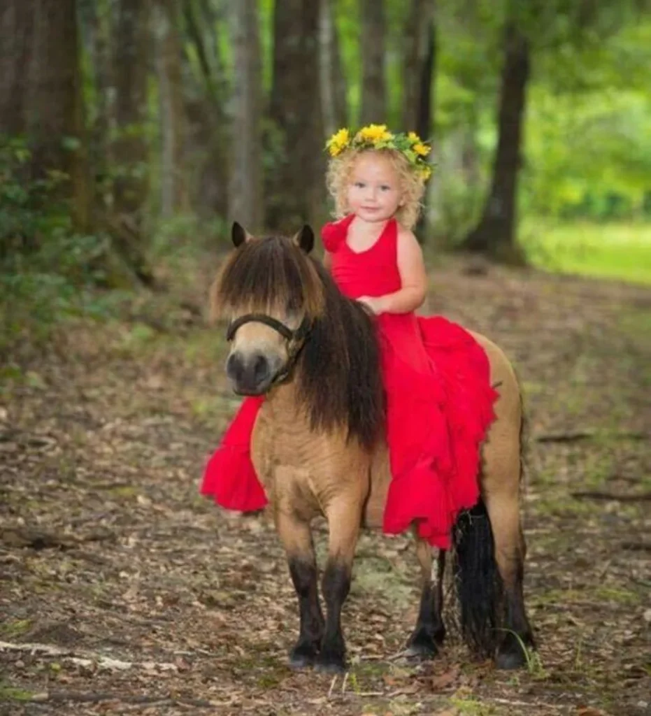 10 Hilarious Funny Picture for horse lovers-The Curiosity Overload