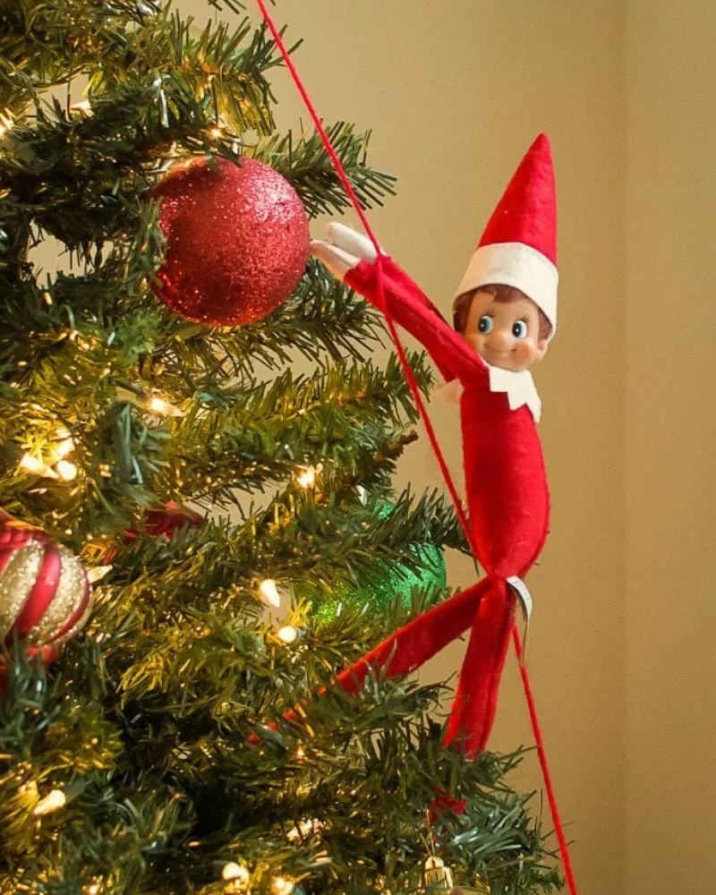 50 Last Minute Elf on the Shelf ideas-Scaling the Tree