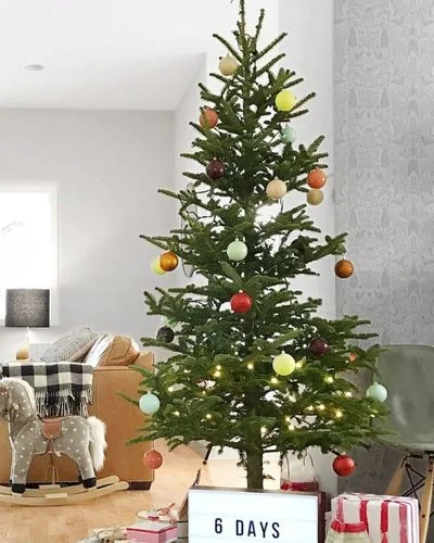 50 Best Christmas Tree Ideas to Impress Guests-Lightbox Commencement Tree