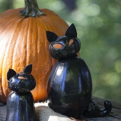 50 Best pumpkin carving ideas for Halloween and What type of pumpkin is used for Halloween?-Black Cats