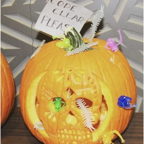 50 Best pumpkin carving ideas for Halloween and What type of pumpkin is used for Halloween?-Creepy Crawly Skeleton