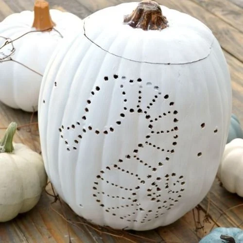 50 Best pumpkin carving ideas for Halloween and What type of pumpkin is used for Halloween?-Drilled Seahorse