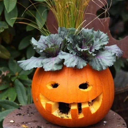 50 Best pumpkin carving ideas for Halloween and What type of pumpkin is used for Halloween?-Planter