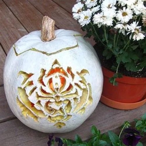 50 Best pumpkin carving ideas for Halloween and What type of pumpkin is used for Halloween?-Stenciled
