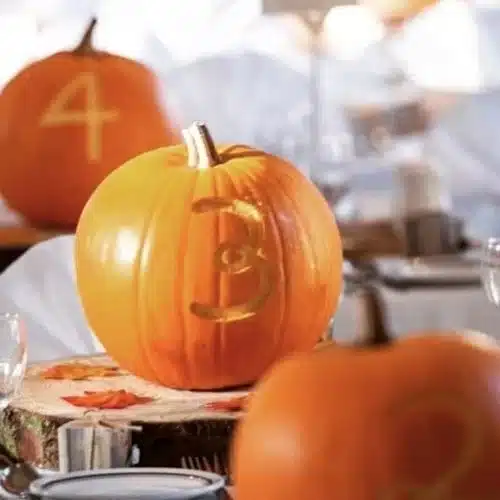 50 Best pumpkin carving ideas for Halloween and What type of pumpkin is used for Halloween?-Table Numbers