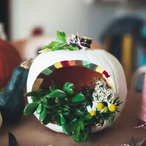 50 Best pumpkin carving ideas for Halloween and What type of pumpkin is used for Halloween?-Terrarium