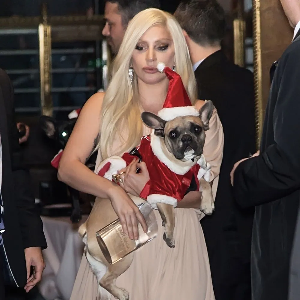 45+ Pics of Celebrities and Their Rich Pets