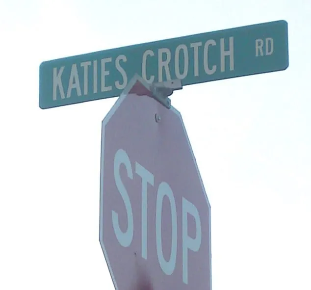 4688ADE600000578-5100393-Pretty_forward_of_you_In_New_Portland_Maine_a_road_sign_for_Kati-a-4_1511206148236