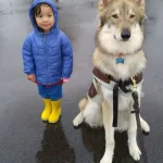 These Adorable Pictures Prove That Kids And Dogs Need Each Other