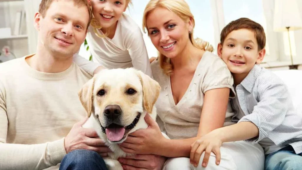 Labrador Retriever: Known for their friendly and outgoing nature, Labradors are great family dogs. They are intelligent, loyal, and good with children.
