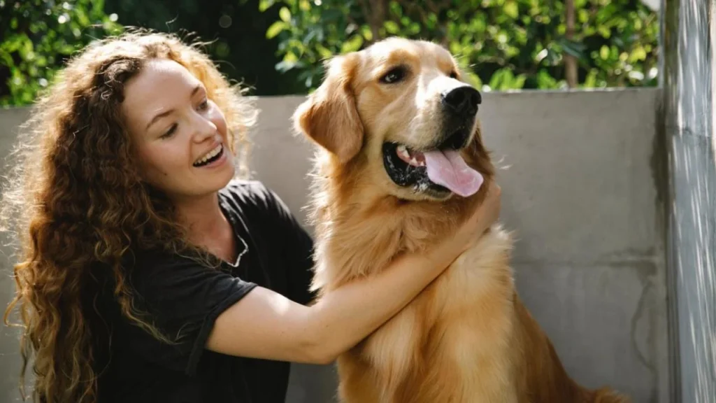 Golden Retriever: Golden Retrievers are affectionate, patient, and gentle. They are known for their intelligence and are great with families, including children.