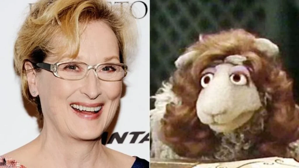 Meryl Streep - Meryl Sheep (a fluffy sheep with impressive acting skills)