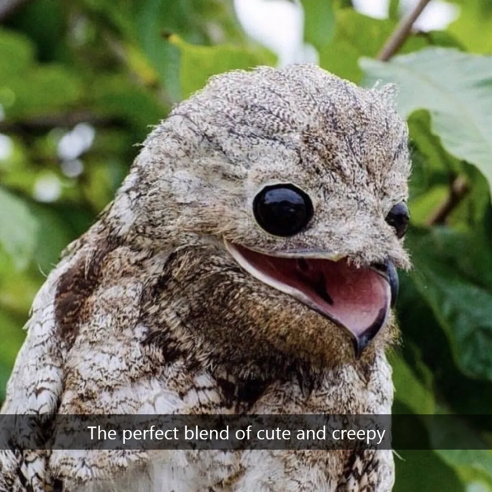 30+ Animals That Make Us Feel Uneasy in Ways We Cannot Explain