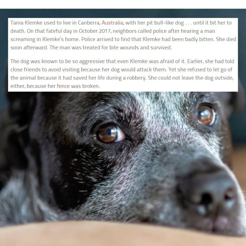 40+ Terrifying Stories of Pets Who Turned on Their Owners – Daily Jugarr