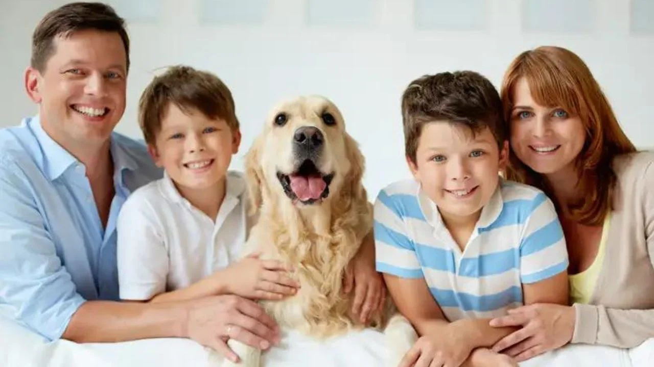 Top 20 family dogs and pets 2023