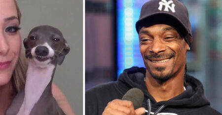 20 funny celebrities pics with animal doppelgangers