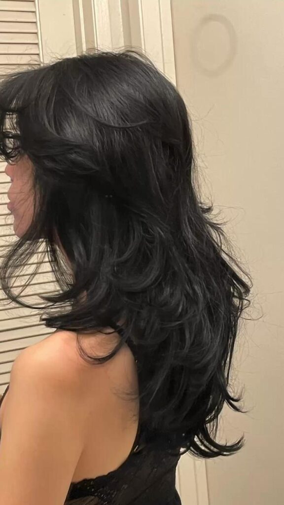 Black Hair With Layers 