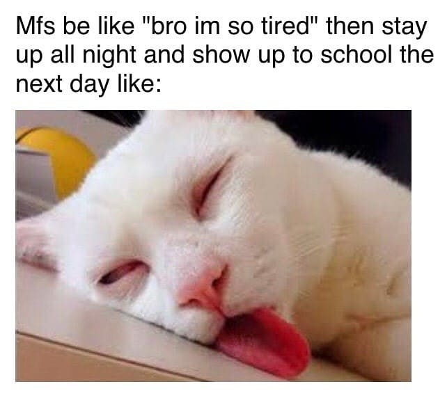 15 funny Sleep Memes That Will Have You Laughing Your Way to Dreamland