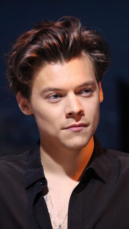 Harry Styles Age Hometown, Biography, Age And Love Life