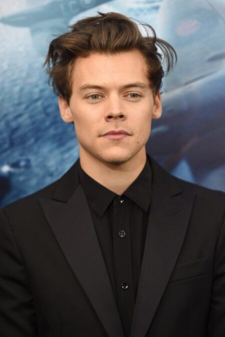 Harry Styles Age Hometown, Biography, Age And Love Life