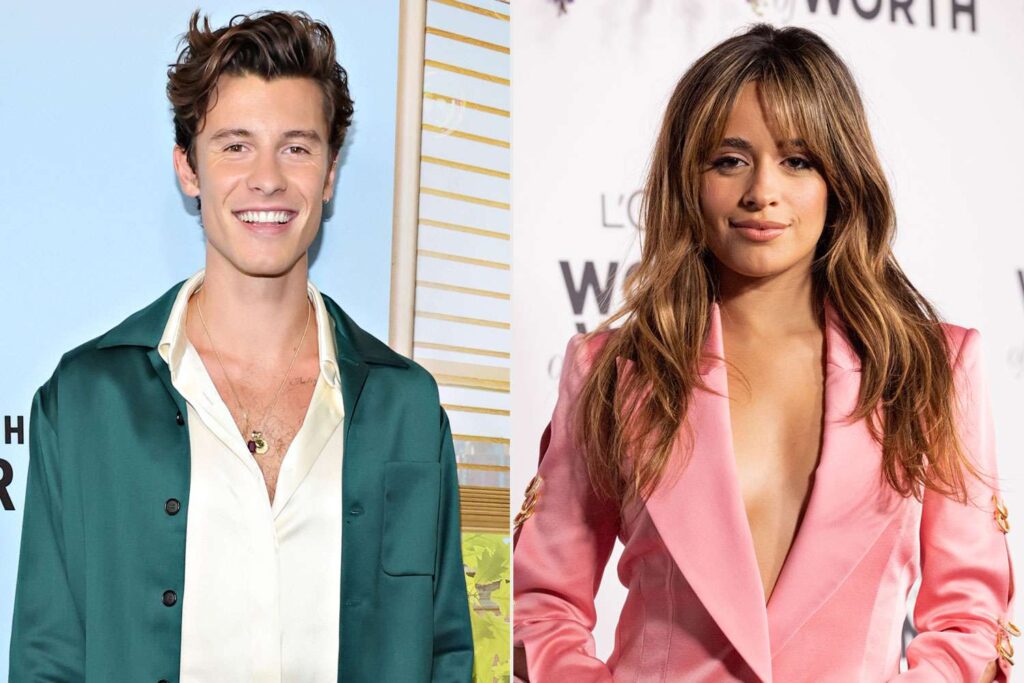 Shawn Mendes and Camila Cabello Make Our Wildest Dreams Come True at