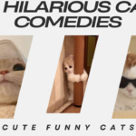 Cute Funny Cats With Top 15 Hilarious Cat Comedies