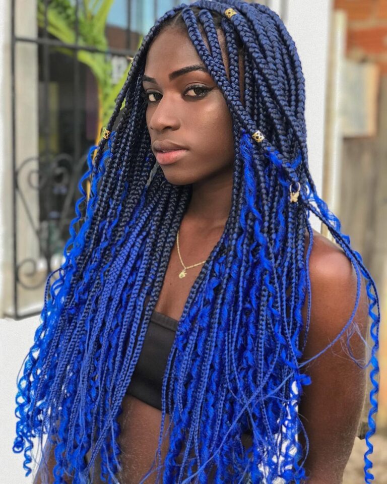 Blue and Black Braids Hairstyles Transform Your Look