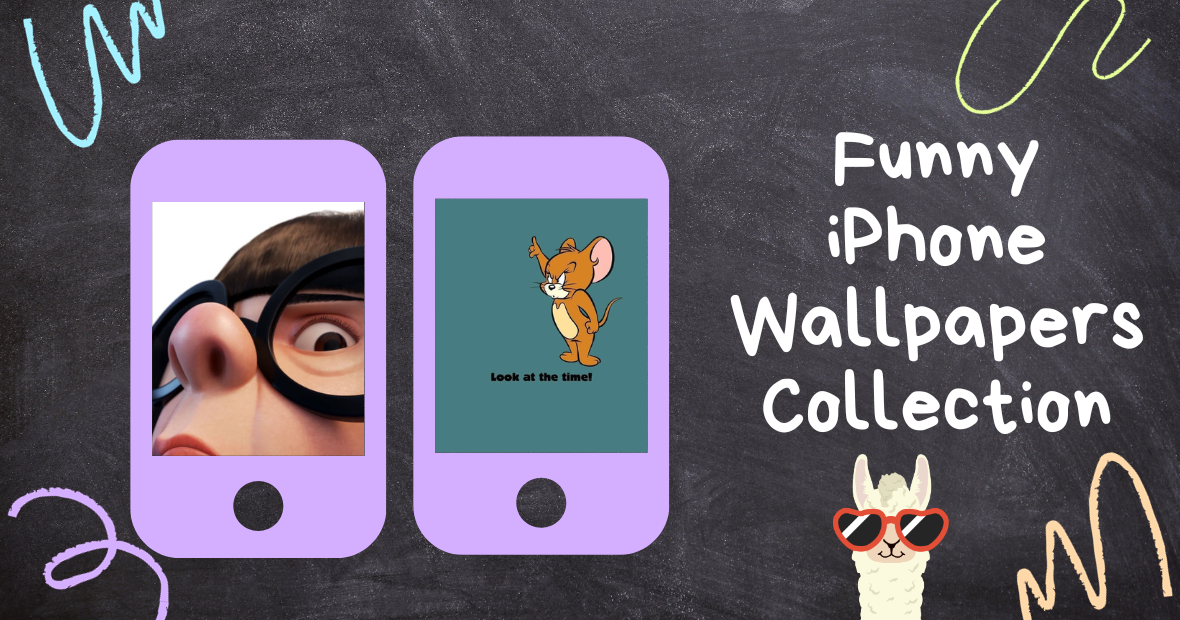 Funny iPhone Wallpapers The Most Hilarious Collection