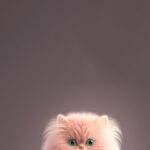 Beautiful and Adorable Cat Wallpapers for Your Phone