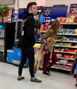 Unveiling The Wonders Of Walmart: Secrets You Never Knew Existed!