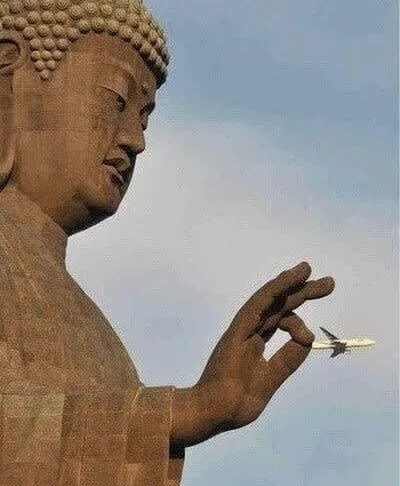 "Please Try Not To Fly Near Me"