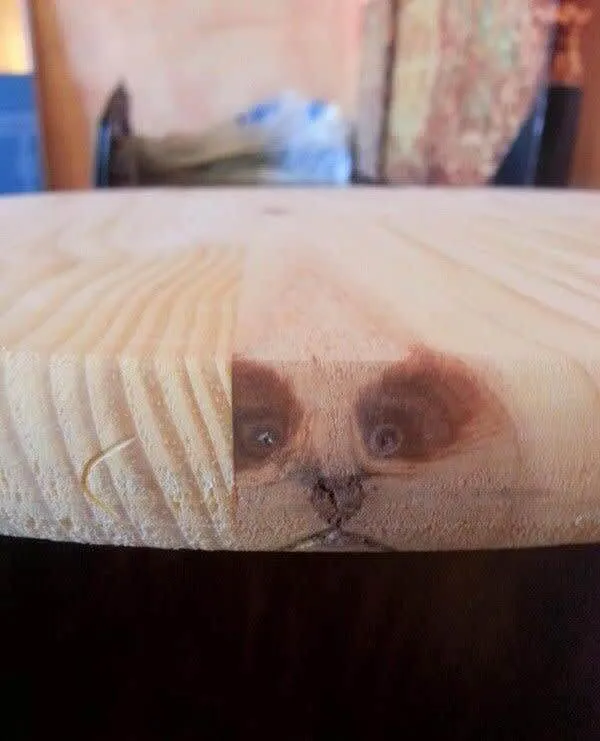 The Dog Is Imprinted Into The Table