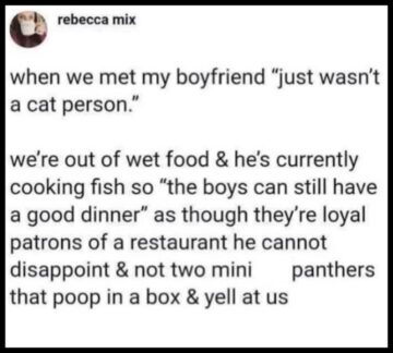 36+ Times People Said Hilariously Weird Phrases