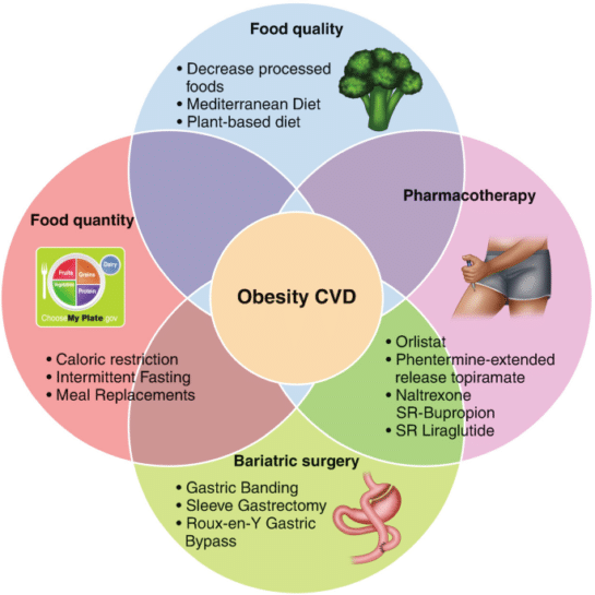 Reigniting Hope Through ICD-10 Solutions For Obesity In 2025