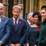 Meghan, Harry Reached Out To Kate After Cancer News dailyjugarr