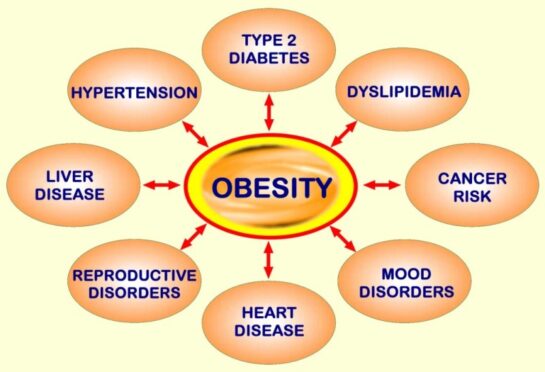 Curated visual reference: 2025 Obesity Is A Chronic Reference: Reigniting Hope Through Icd 10 Solutions For Obesity In 2025