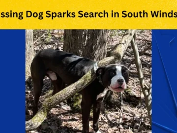 Help Find Fido! Missing Dog Sparks Search in South Windsor