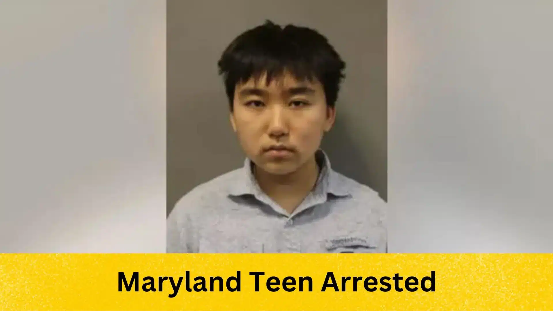 Maryland Teen Arrested