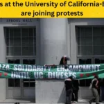 Students at the University of California-Berkeley are joining protests