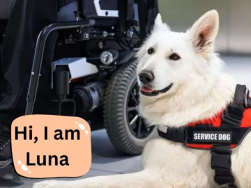 How My Service Dog Saved My Life: An Inspiring Journey