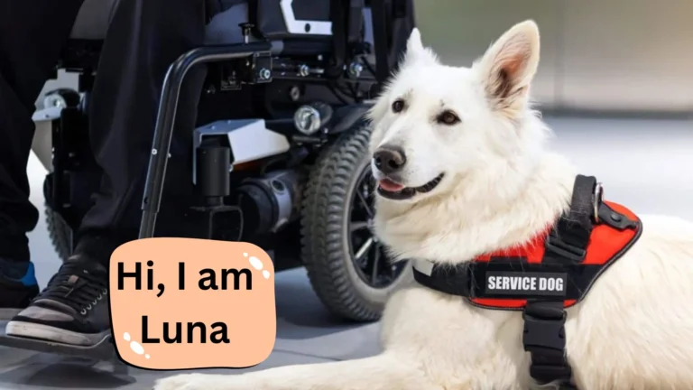 How My Service Dog Saved My Life: An Inspiring Journey