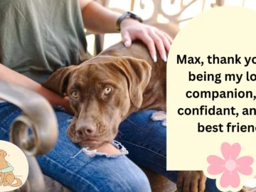 Max My Dog’s Unwavering Love: Saying Goodbye to My Best Friend