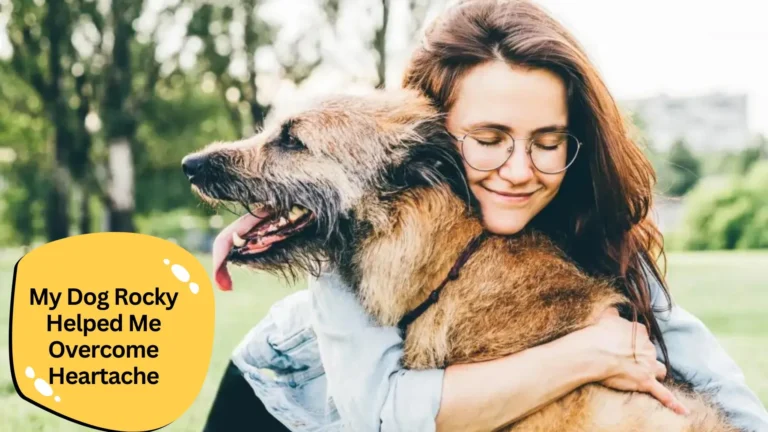 The Surprising Way My Dog Rocky Helped Me Overcome Heartache