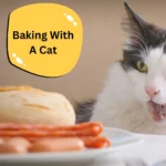 Baking With A Cat: The Hilarious Tale Of Mr. Whiskers!