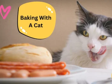 Baking With A Cat: The Hilarious Tale Of Mr. Whiskers!
