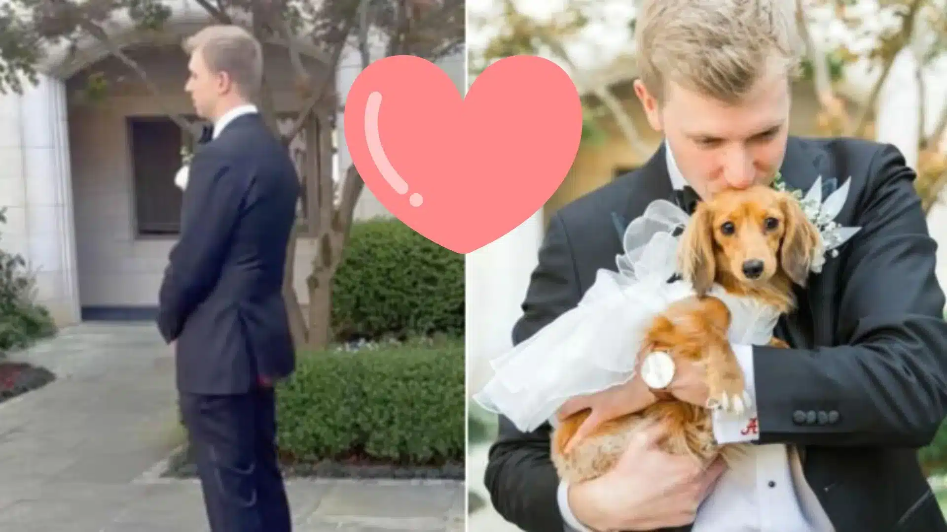Groom Expects To See The Bride, Only To Be Blown Away By The Cutest Surprise