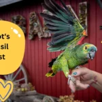 Sunny the Parrot's Utensil Heist Will Make You Laugh!